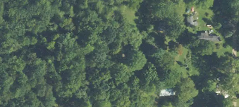 Wooded Waterfront Land