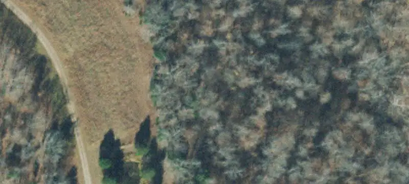 Established Vineyard and Winery