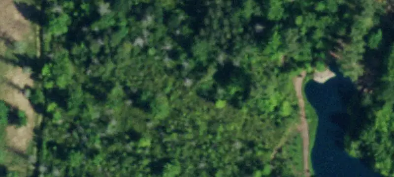Land