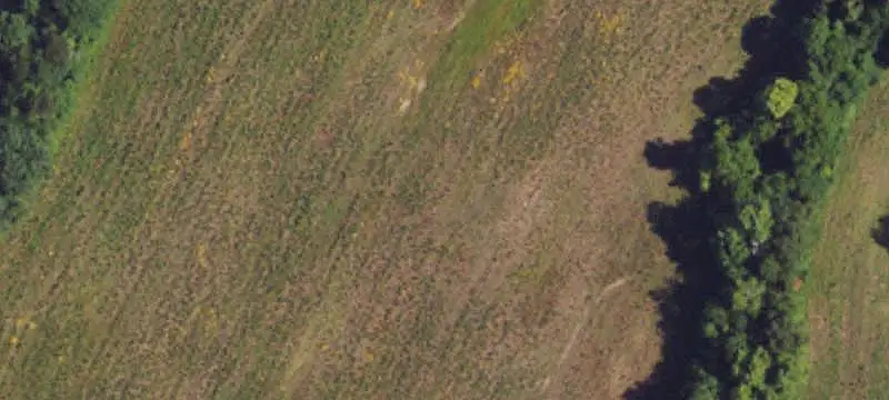 Land