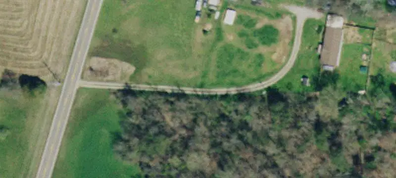Partially Cleared Farmland