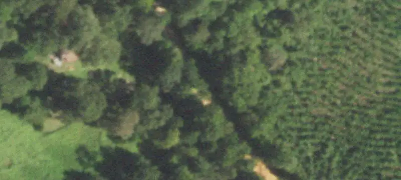 Agricultural Land with Pasture and Timber