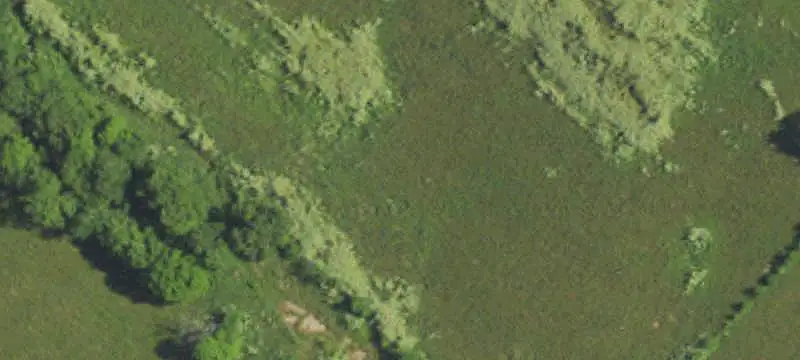 Fenced Farm with 3 Barns