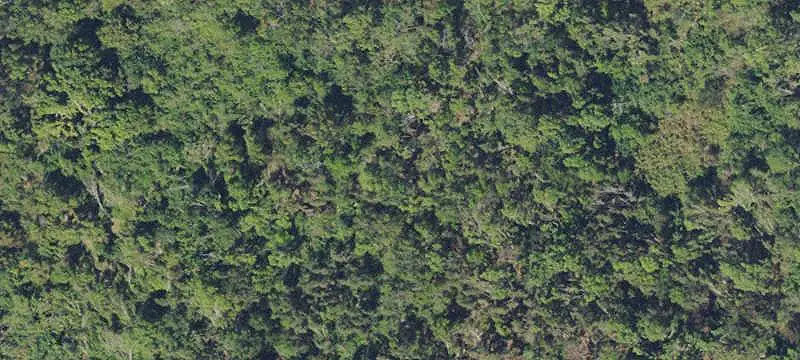 Fort Myers Commercial Land