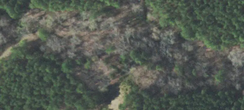 Farm