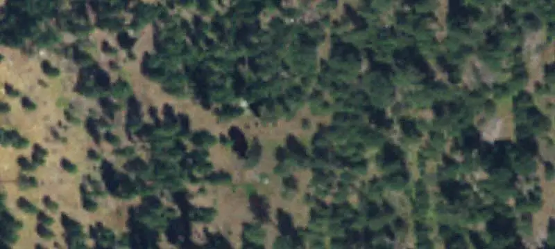 Wooded Recreational Land