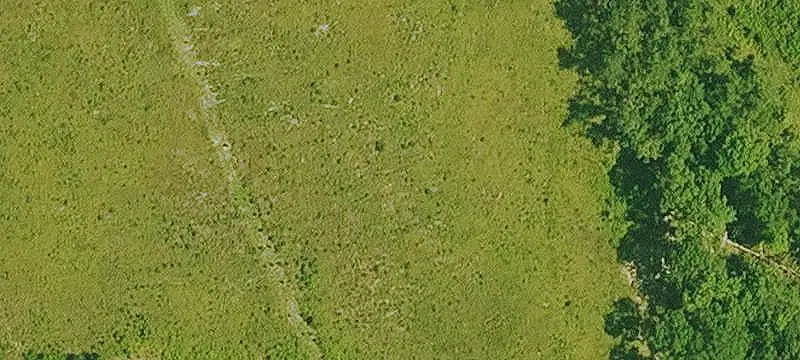 Wooded Hunting Land