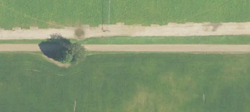 Wooded Land Parcel