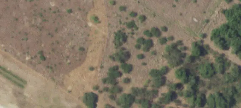Land