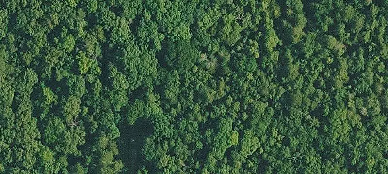 Land Parcel for Building