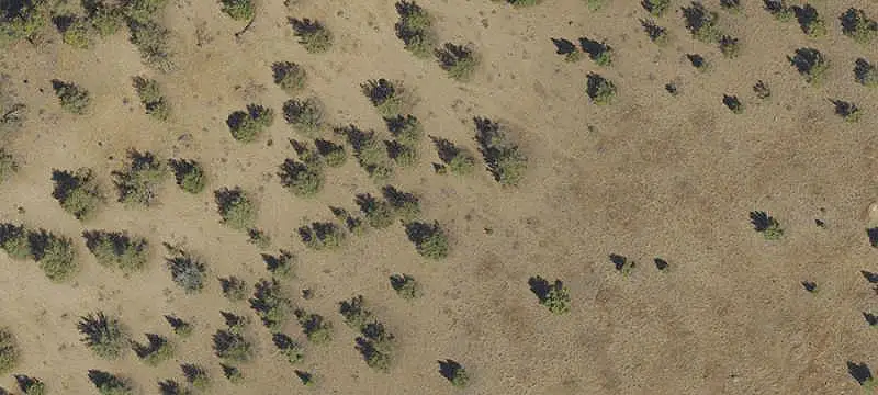 Vacant Land