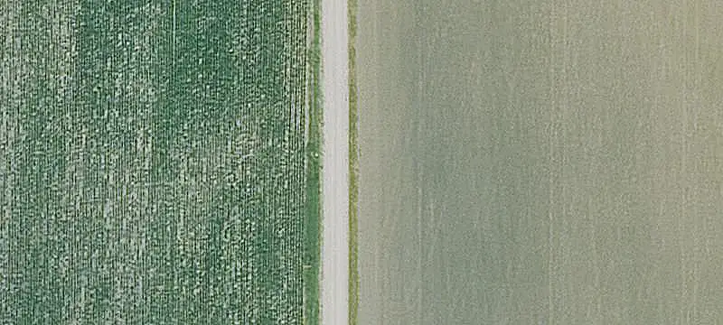 Multi-Use Farm with Two Ponds