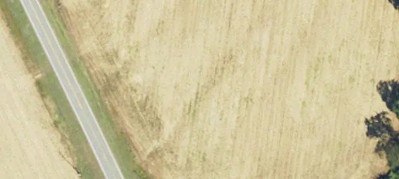 Lot 2 Co Rd 92, Slocomb, AL 36375
