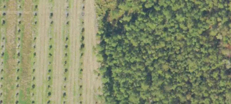 Unimproved Land
