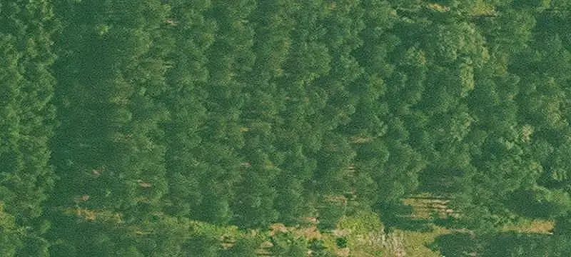 Lot 10 Quail Run, Malvern, AR 72104