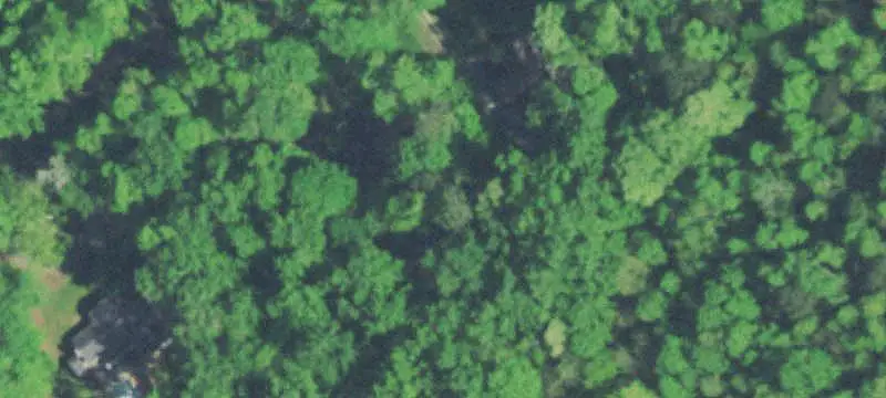 Unimproved Land