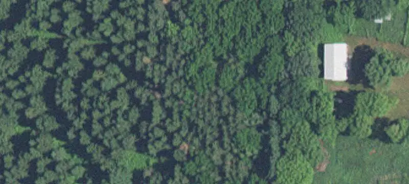 Wooded Waterfront Land