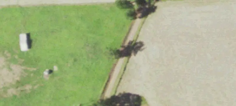 Ranch with Pond and Timber