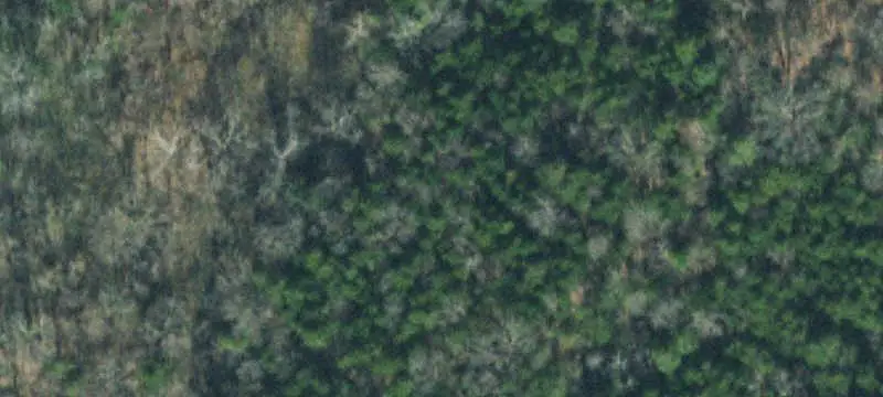 Wooded Land with Building Sites