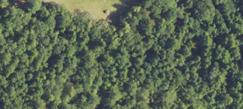 Hunting Land with Pond