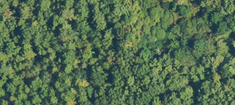Commercial Land Parcel