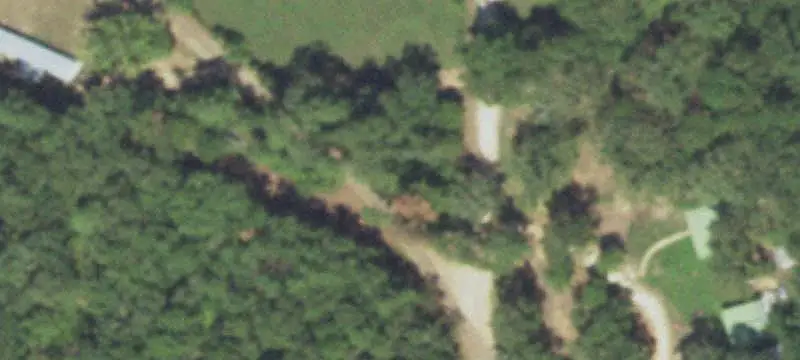 Farmland with Pine Timber