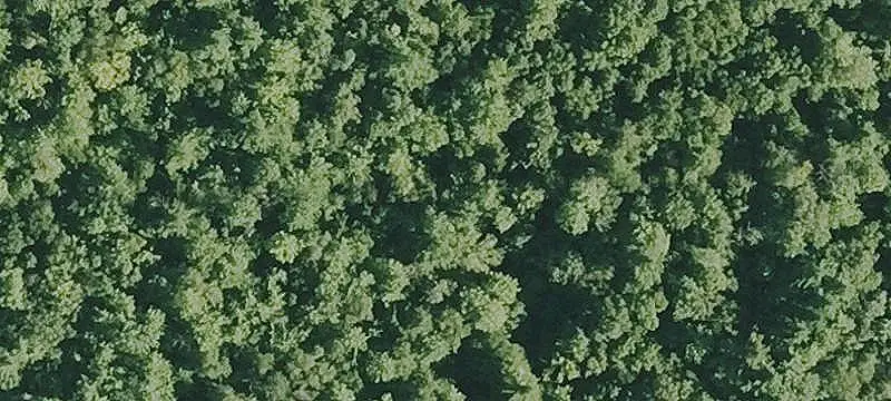 Land/Lot