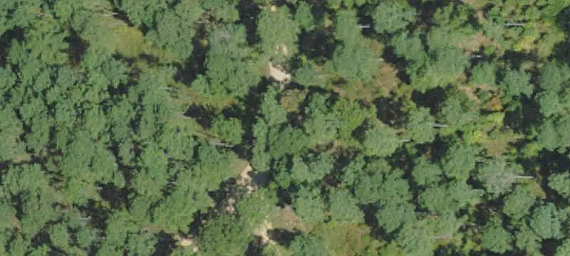 Hunting Land with Internal Roads