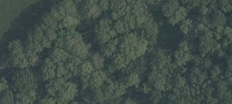Land Property
