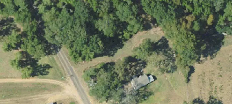 Pine Timberland Hunting Tract