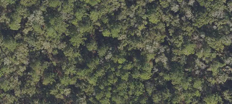 Land/Lot