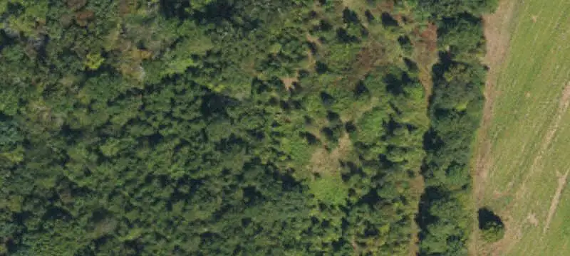 Vacant Land