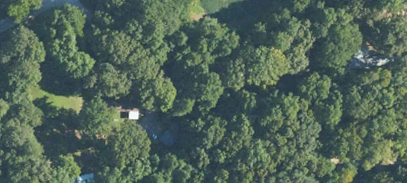 Wooded Hunting Land