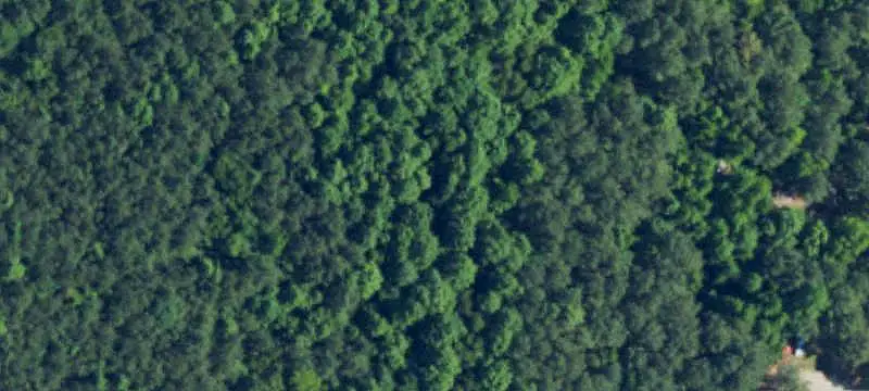 Agricultural Land Parcel