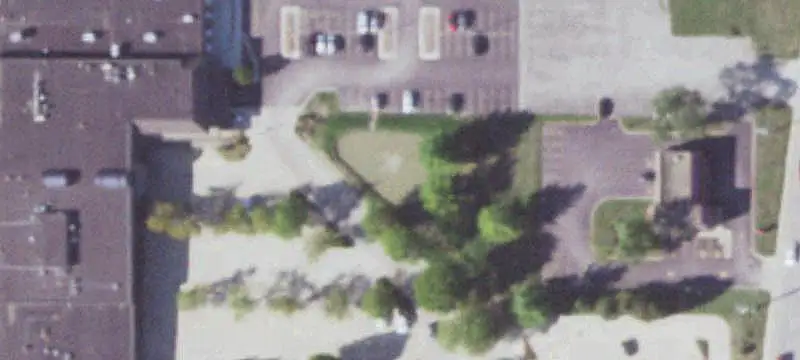 Dutch Bros NNN Property