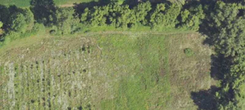 Farm Property with Pole Barn