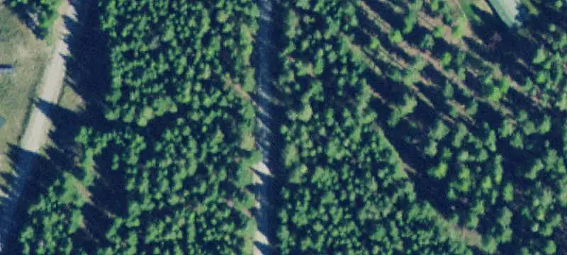 Land/Property