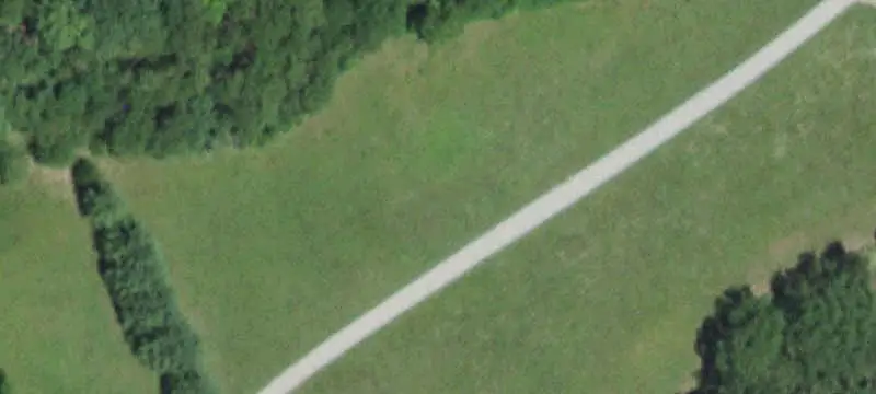 Wooded Agricultural Land