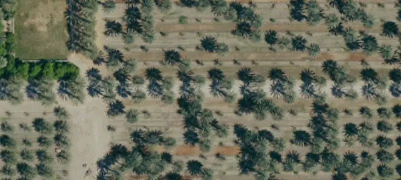 Land
