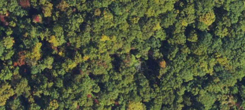Land/Lot