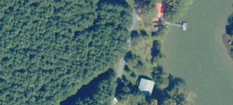 Waterfront Land with Mature Timber