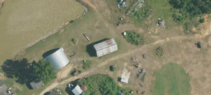 Breeder Poultry Farm