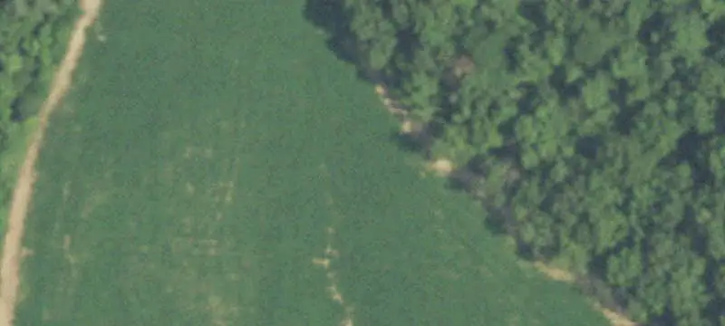 Farm with Fenced Pastures