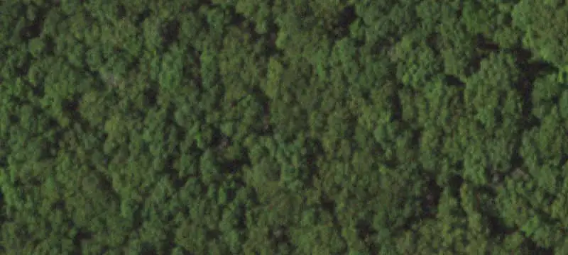 Wooded Recreation Land