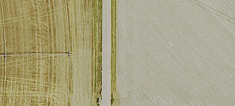 Agricultural Land