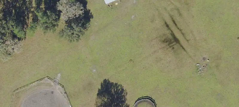 Equestrian Property With Riding Arena