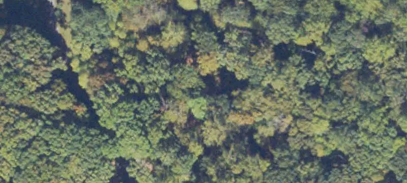 Land/Lot