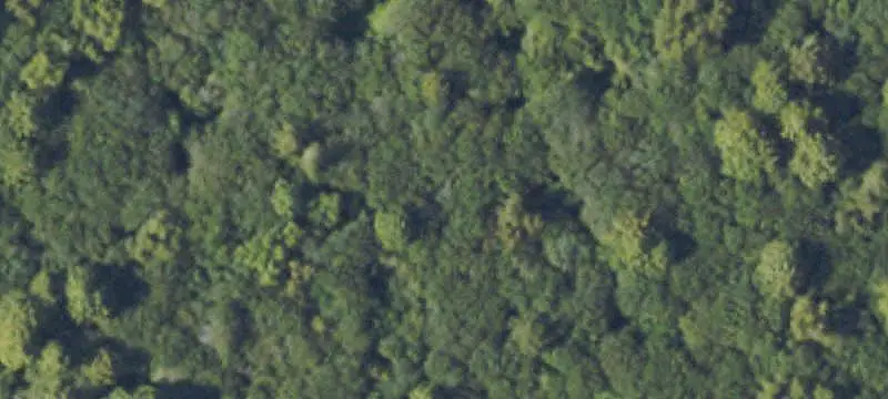 Unimproved Land