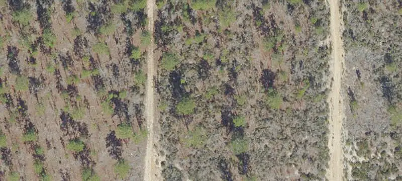 Land or Vacant Lot