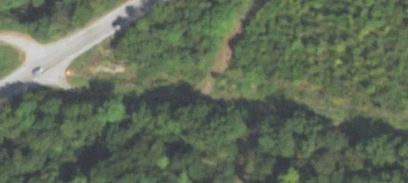 Timbered Hunting Tract